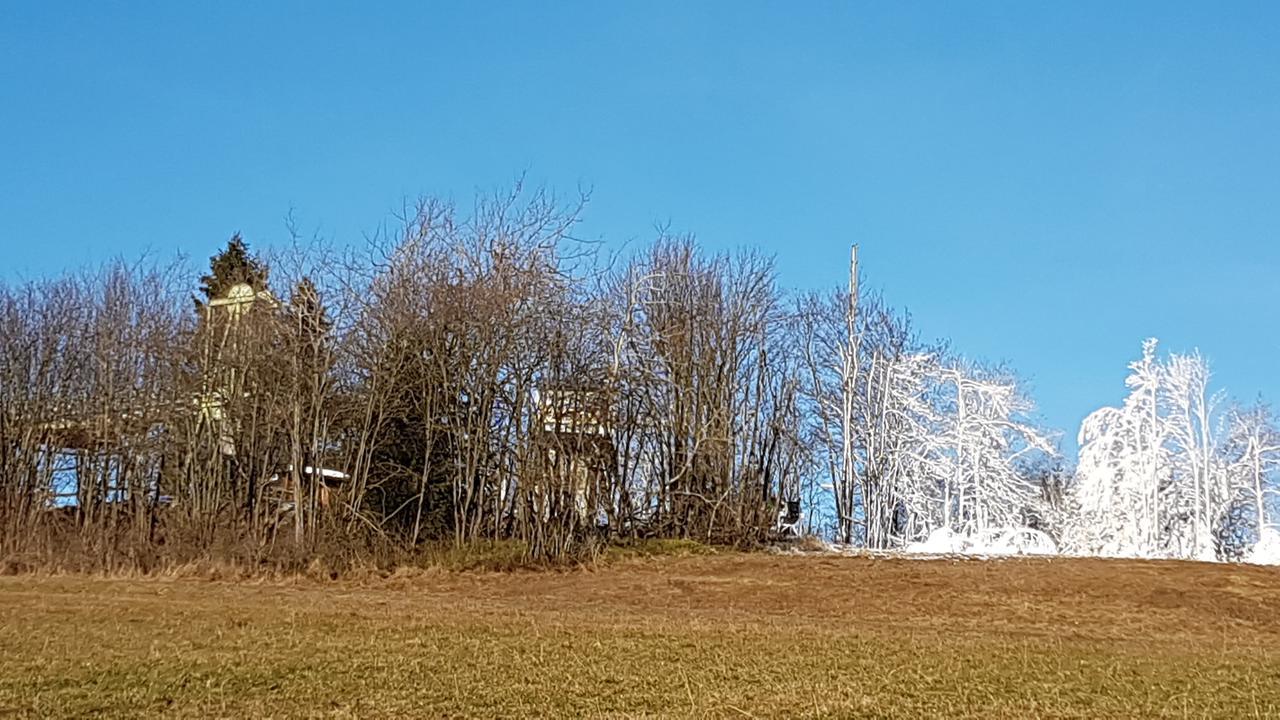 Haus Nicole Lägenhet Winterberg Exteriör bild